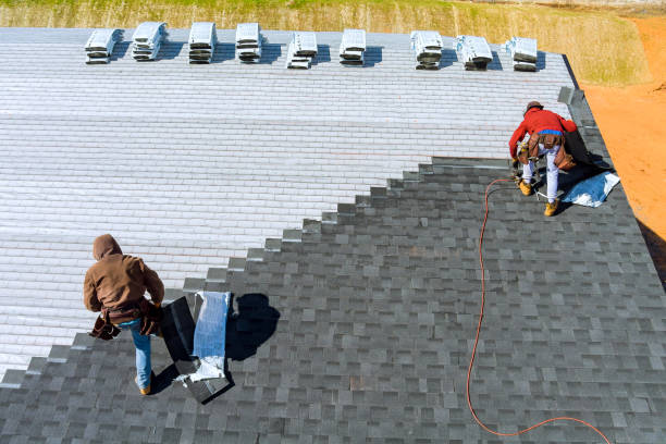 Best Flat Roof Repair Services  in Wheatland, WY